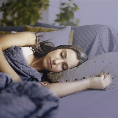 Timeline: Fases del sueño y sus caracteristicas