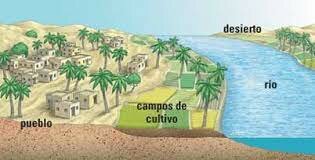 inicio del mutualismo