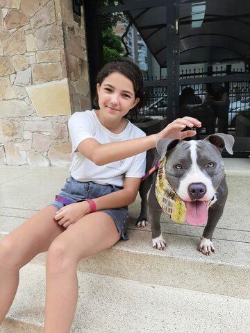 Quando eu ganhei a minha cachorra