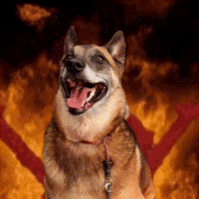 Timeline: Devil's Timeline