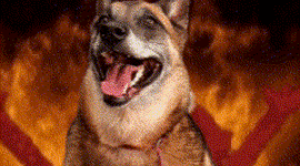 Timeline: Devil's Timeline