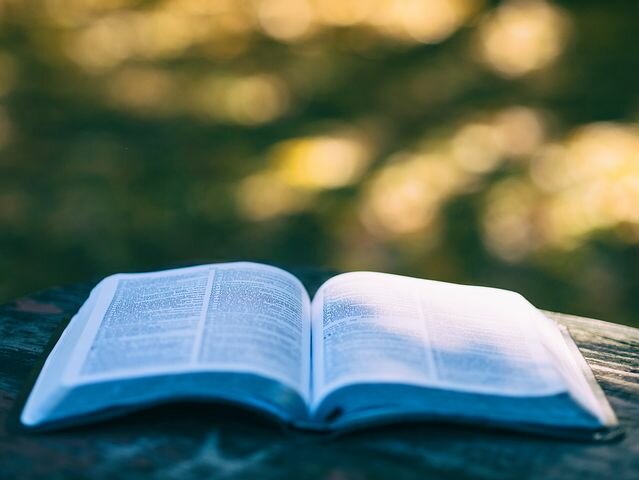 First Spelling Book
