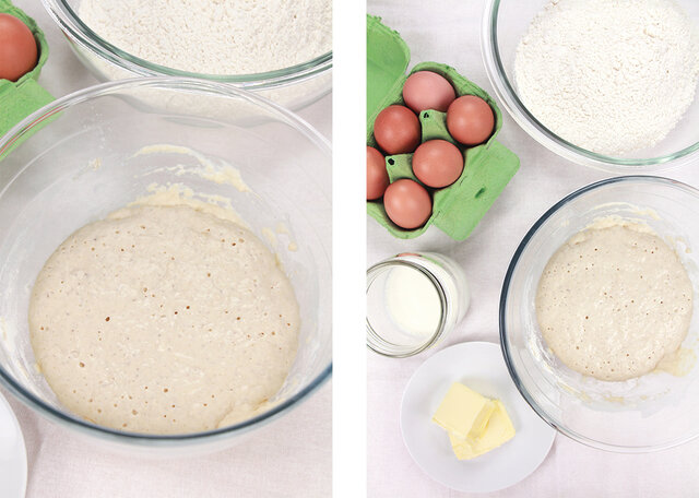 Primer avance en levaduras