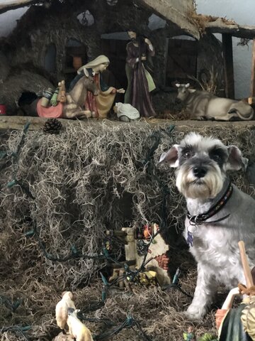 Adopte a mi primera perrita