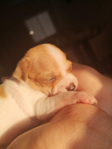 Nacimiento de Stormi