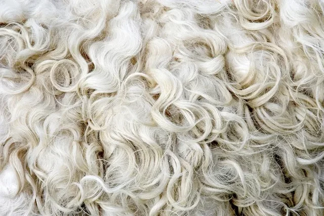 L'économie dans l'Antiquité