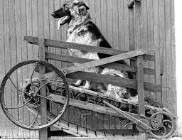 Primera Cinta de Correr