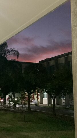 Relaciones Internacionales