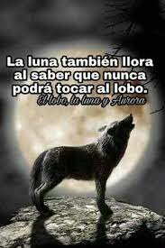 salida de bachilerato y entrada para la uni