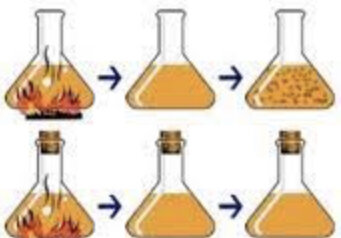 Experimento de Lázaro Spallanzini