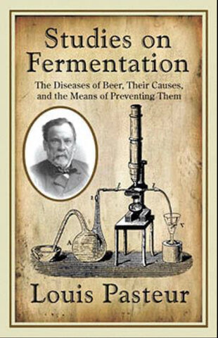 Fermentación como proceso biológico