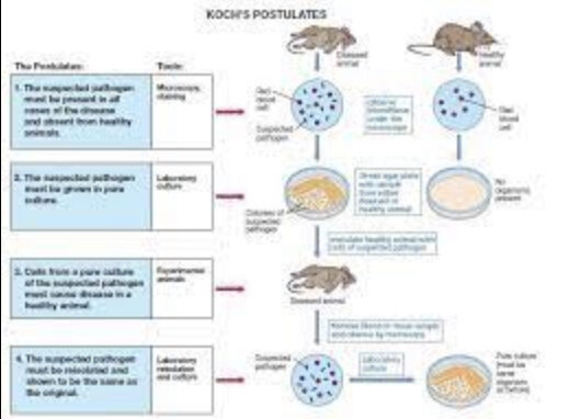 Postulados de Koch