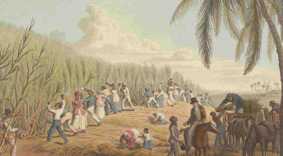 Introduction to Slavery