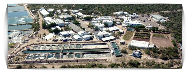 FUNDACIÓN DEL CENTRO DE INVESTIGACIONES BIOLÓGICAS DEL NOROESTE (CIBNOR)