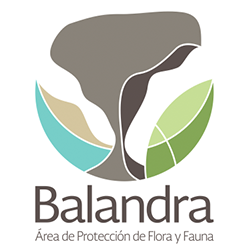 DECLARACIÓN APFF BALANDRA