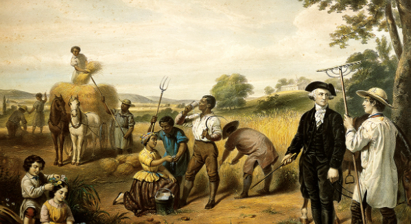 Children are Born Free