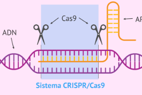 CRISPR-Cas9