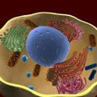 Timeline: Linea del tiempo Historia de la Teoría Celular