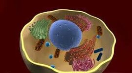 Timeline: Linea del tiempo Historia de la Teoría Celular