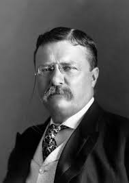 Progressive Era: Teddy Roosevelt President