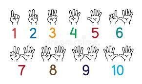 La primera maquina de computo; los dedos.