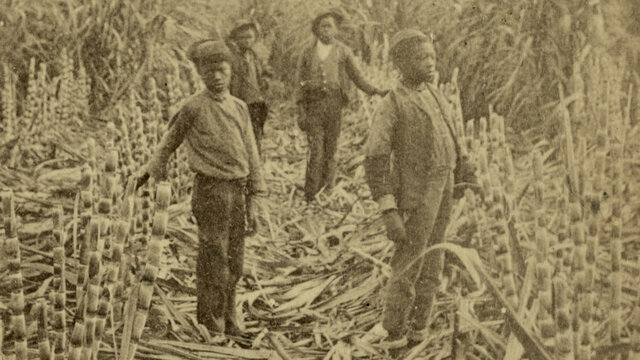 Thibodaux Massacre 1887