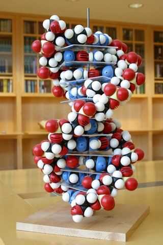 Pauling's Triple Helix