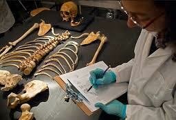 Estudios antropológicos