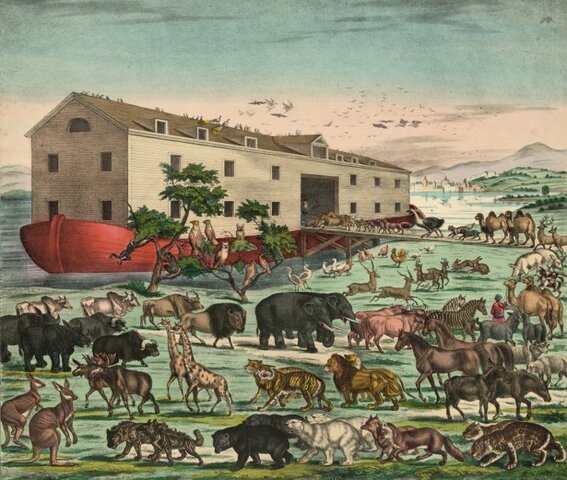 Noahs ark
