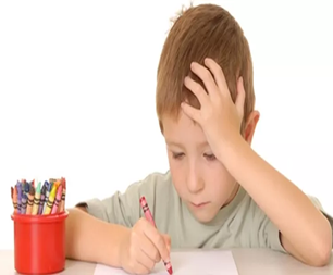 Asesorías regionales