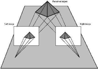 Descripción del proceso de visión en 3D
