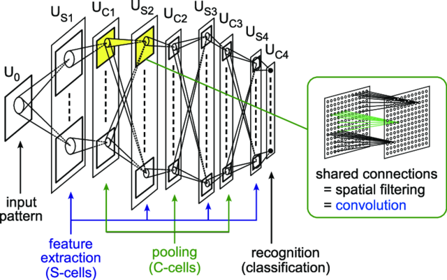 Construcción del neocognitron por Kunihiko Fukushima