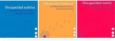 Se elaboraron Guías didácticas para la inclusión educativa de los alumnos que presentaban discapacidad intelectual, problemas de audición y lenguaje, trastornos motores y ceguera y debilidad visual