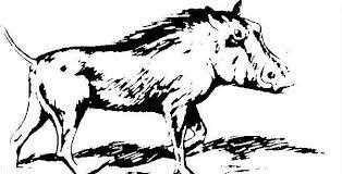 PRINCIPIOS DEL CERDO