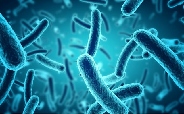 Aparición de los primeros seres vivos (bacterias procariotas)