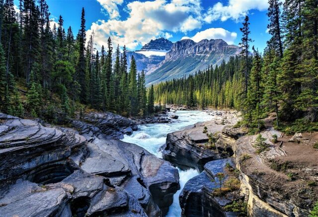 La vida coloniza las aguas continentales