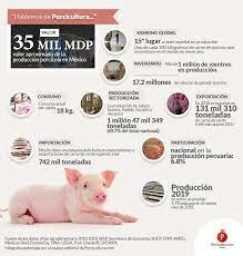 Porcicultura En México