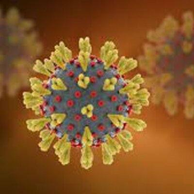 Timeline: Teorías del origen de la enfermedad