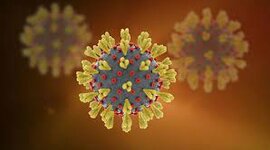 Timeline: Teorías del origen de la enfermedad