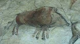 Timeline: HISTORIA DE LA EVOLUCIÓN DEL CERDO