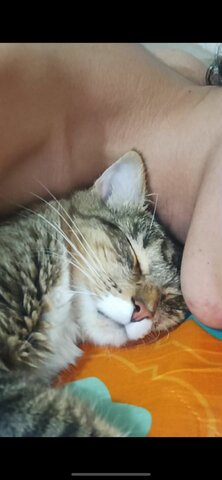 I'm getting used to sleep with my cat