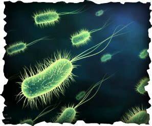 9.OTRAS NOCIONES AS NOCIONES DE CAUSAS