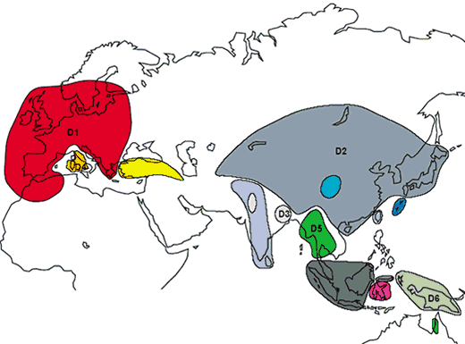DOMESTICACION DEL CERDO EN EUROPA