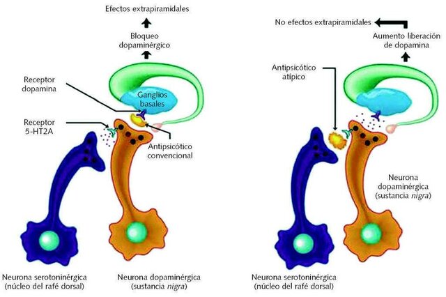 Hipótesis del bloqueo receptorial dopaminérgico