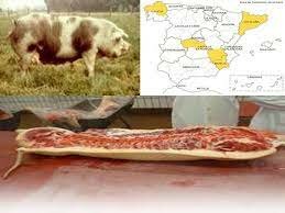 EXPANCION DEL PIETRAIN EN EUROPA