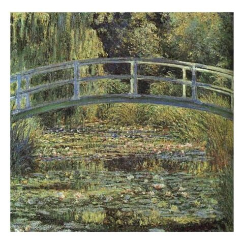 Lo stagno delle ninfee