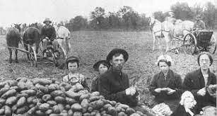 Agricultural Marketing Act