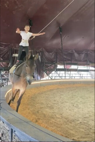 My Passion For Equestrian Vaulting