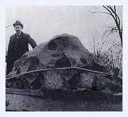 20 ton meteorite