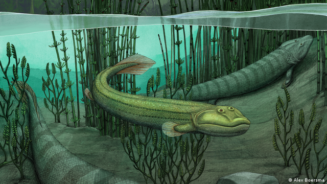 Aparición de los peces modernos